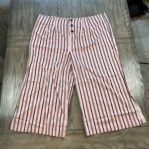 Du Jour Regular Button Front Striped Pants Blush Size 3X